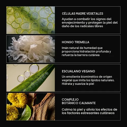 Vista 4 de Caldera + Lab The Base Layer Crema Hidratante Facial Orgánica para Hombres para Piel Seca, Sensible y Normal – Vegana, Natural y Repleta