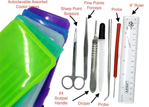 Vista 2 de Kit de disección Precision Plus – Kit de biología de 24 piezas – 9 instrumentos de acero inoxidable – Cuchillas adicionales y pasadores en T