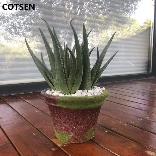 Vista 3 de COTSEN 2 piezas de suculentas artificiales grandes, plantas artificiales de aloe, suculentas artificiales sin maceta, utilizadas para jardín