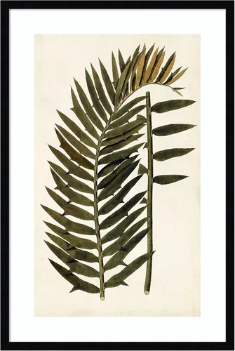 Vista 19 de Amanti Art Vision Studio - Lienzo decorativo para pared, 24 x 17 pulgadas, variedades de hojas VIII, arte de pared de naturaleza, decoración