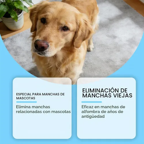 Vista 3 de Eliminador de manchas de mascotas y olores fuertes, destructor de orina