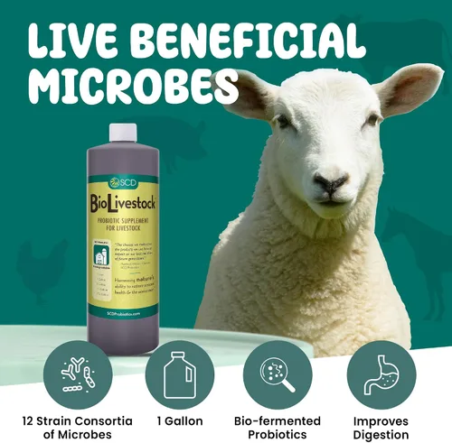 Vista 2 de SCD Bio Livestock - Aditivo líquido probiótico para piensos y agua, suplemento digestivo orgánico para vacas, cerdos, caballos, pollos, patos