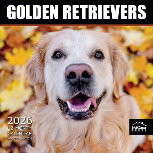 Vista 91 de MICASA PRESS Calendario de pared de Australian Shepherds Aussies 2027 02 - Pastores australianos
