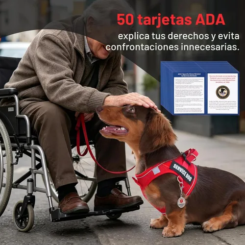 Vista 2 de Arnés de chaleco de servicio para perros de raza pequeña con etiqueta de identificación, 50 tarjetas ADA, 10 parches extraíbles, arnés de apoyo