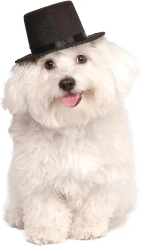 Vista 3 de Rubies Sombrero para mascotas para perros o gatos, S/M