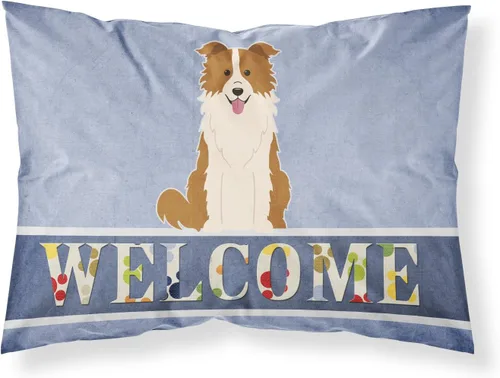 Vista 66 de Caroline's Treasures BB2515PILLOWCASE Between Friends Appenzeller Sennenhund - Funda de almohada de tela estándar, ligera, súper suave, fácil