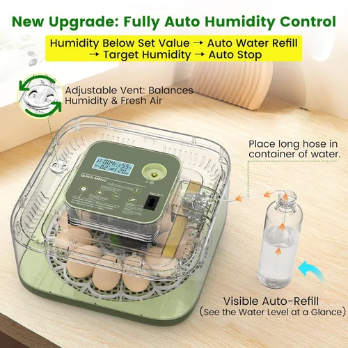 Vista 3 de Incubadora de 12 huevos con giro automático, recarga automática de agua y control de temperatura/humedad, además de guía de eclosión, criador