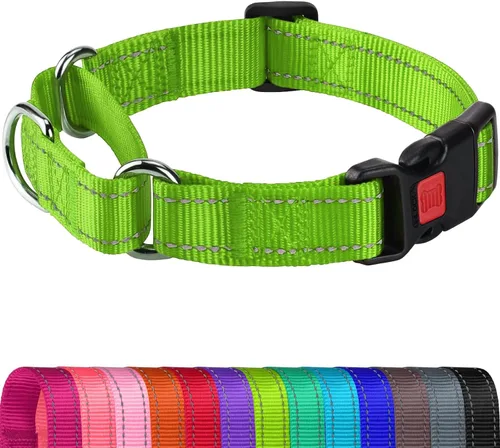 Vista 10 de Joytale Collar Martingale para perros, reflectante resistente para mayor seguridad, hebilla de liberación rápida, collares de nailon ajustables