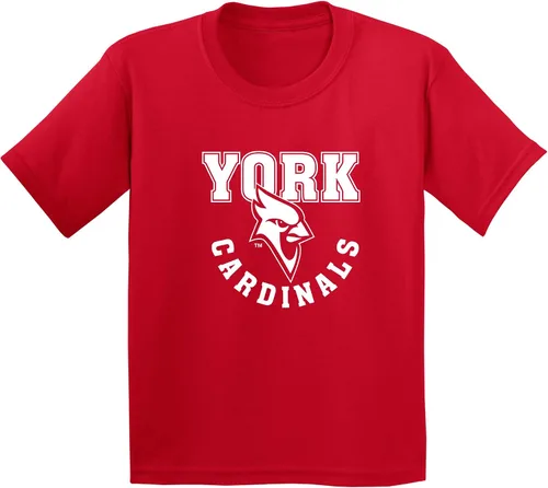Vista 548 de NCAA Arch Logo, camiseta juvenil color del equipo, universidad - universidad