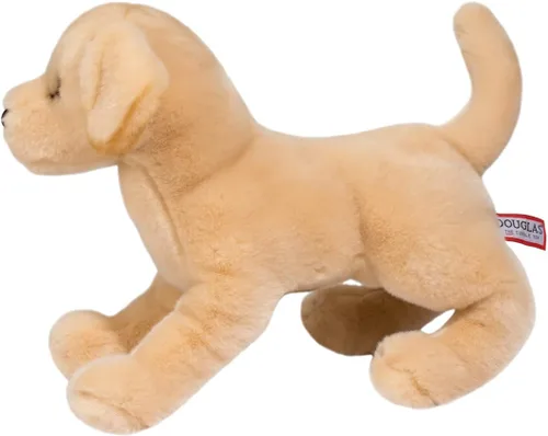 Vista 5 de Douglas Mandy - Peluche de perro de laboratorio amarillo