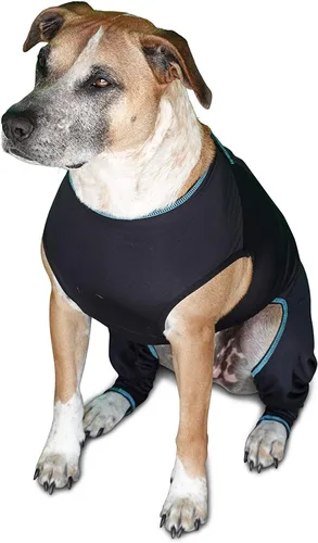 Vista 2 de BENEFAB Traje terapéutico cómodo para perros — Chaqueta ligera de infrarrojo lejano para caninos de todas las edades — Traje de compresión relajante