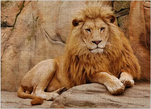 Vista 7 de MyPuzzle A Lion Relaxing On A Stone - Rompecabezas prémium de 100 piezas para adultos