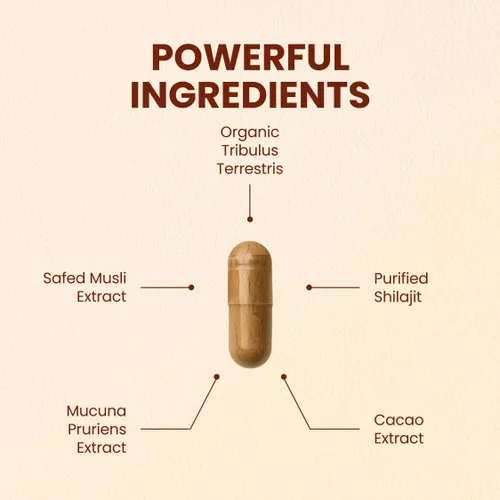 Vista 2 de CHOQ Diariamente con 500 mg PrimaVie Shilajit, Safed Musli, Tribulus - Energía natural, Libido y apoyo muscular - Suplemento diario para hombres, 60