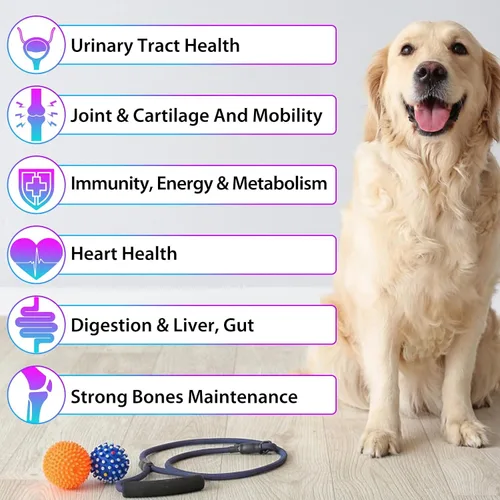 Vista 10 de Gotas multivitamínicas 15 en 1 para perros, gotas multivitamínicas líquidas
