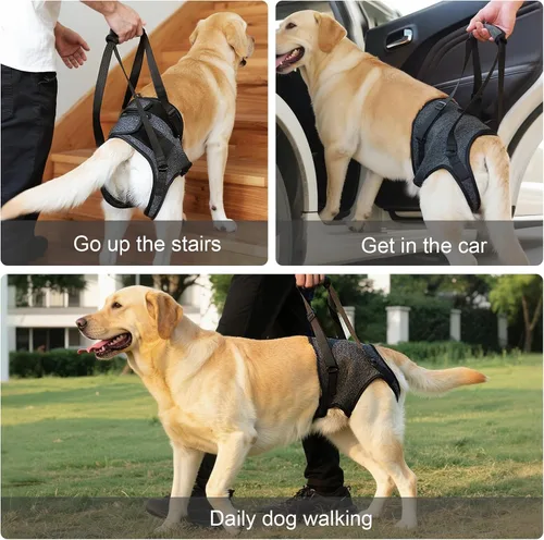 Vista 6 de Arnés acolchado suave ajustable para patas traseras para perros grandes, para patas traseras débiles, lesionadas o discapacitadas, ayuda a apoyar a