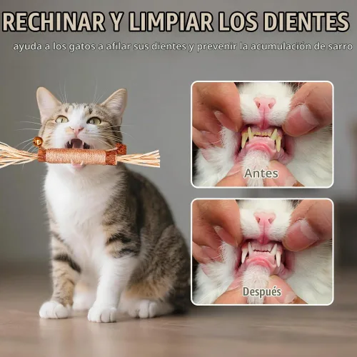 Vista 4 de Silvervine Natural Matatabi Bell Sticks - Juguetes masticables para gatos con golosina de algodón, cuidado de limpieza dental duradera