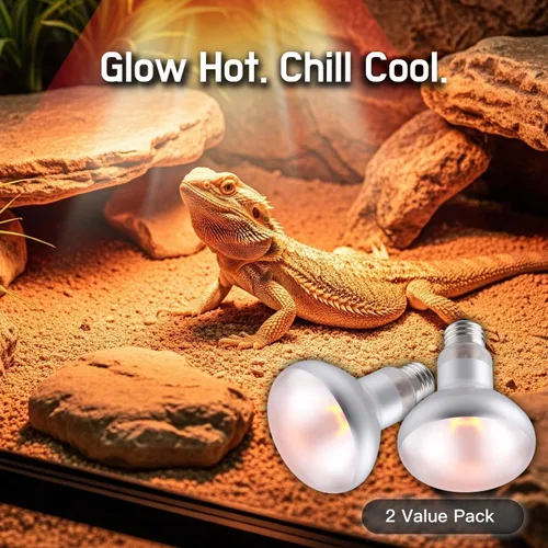 Vista 5 de Paquete de 2 bombillas de calor para reptiles de 75 W, bombillas de calor UVA para dragones barbudos, tortugas, serpientes, lagartos y anfibios