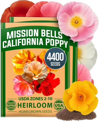 Vista 48 de HOME GROWN Semillas de Hollyhock de doble mezcla de Chater, 200 semillas