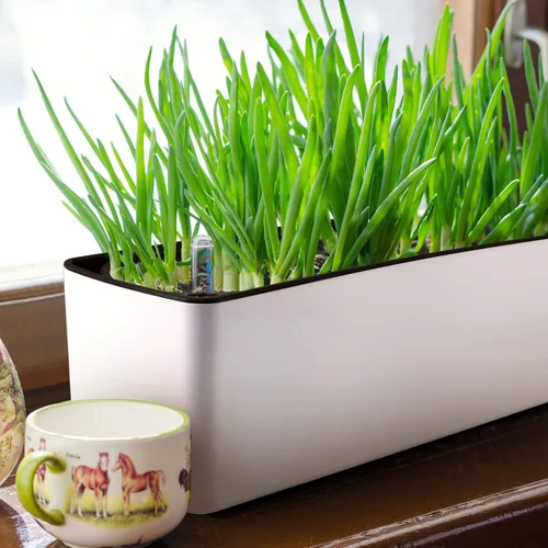 Vista 6 de Skelang Paquete de 2 Macetas de Autoriego, Maceta de Flores Rectangular con Indicador de Nivel de Agua, Caja de Jardinería de Ventana para Plantas