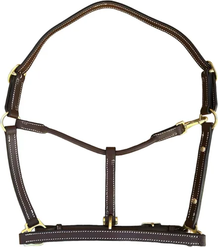 Vista 6 de Leaders - Cabestro de cuero de 3/4 pulgadas para caballos con placa de nombre grabada personalizada, cuero marrón con herrajes de latón macizo