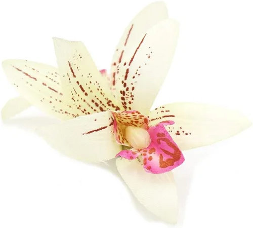 Vista 5 de Pinza para el pelo de orquídea Cymbidium crema y fucsia para mujer (paquete de 6), Multicolorido