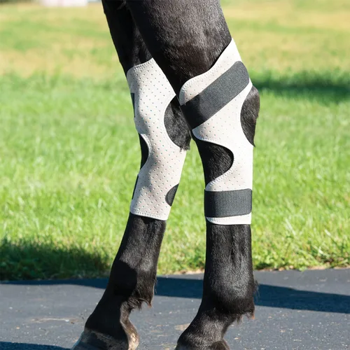 Vista 2 de Weaver Leather CoolAid Equine Icing and Cooling Hock Wraps