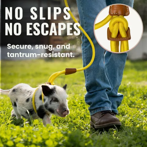 Vista 2 de PORCINE® Arnés y correa para mini cerdo, arnés totalmente ajustable con correa de estilo infinito, ideal para cerdos pequeños y medianos, duradero