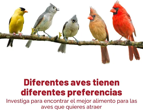Vista 9 de Kaytee Wild Bird Mezcla de Alimento para Pinzones, 3 lb