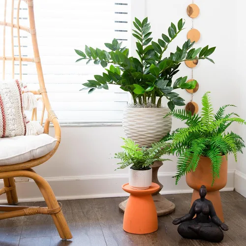 Vista 5 de Nearly Natural - Planta artificial ZZ de 28 pulgadas, planta Zamioculcas con maceta decorativa