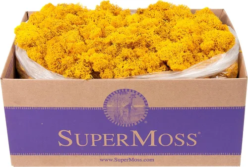 Vista 31 de Super Moss (23164) Musgo de reno preservado, fucsia, 2 onzas Musgo preservado suave, decoración del hogar, manualidades y terrarios, diseño