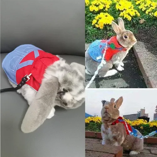 Vista 4 de Disfraz para mascota pequeña, ropa de conejo, sudadera con capucha de hurón, chaleco de conejo, arnés y correa, conjunto de gatito, suéter