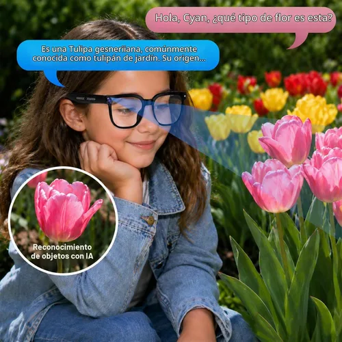 Vista 5 de Gafas inteligentes AI con cámara, video 4K, traducción en tiempo real