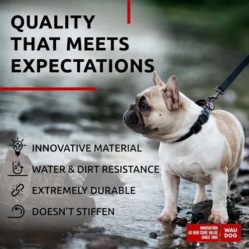 Vista 4 de WAUDOG Collar de Perro Impermeable - Collar de Perro Ajustable para Perros Grandes, Pequeños y Medianos - Collar de Perro Desmontable Impermeable