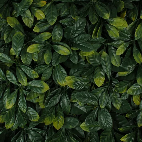 Vista 28 de 3rd Street Inn Paneles de pared de vegetación artificial para privacidad, paquete de 2
