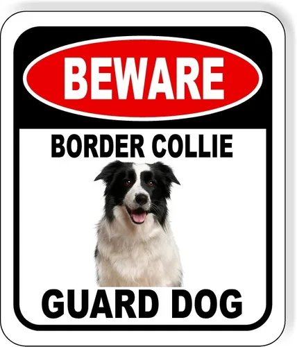 Vista 121 de BEWARE BASSETT HOUND GUARD DOG - Letrero compuesto de aluminio para exteriores, 8.5 x 10 pulgadas CUIDADO BASSETT HOUND GUARD PERRO