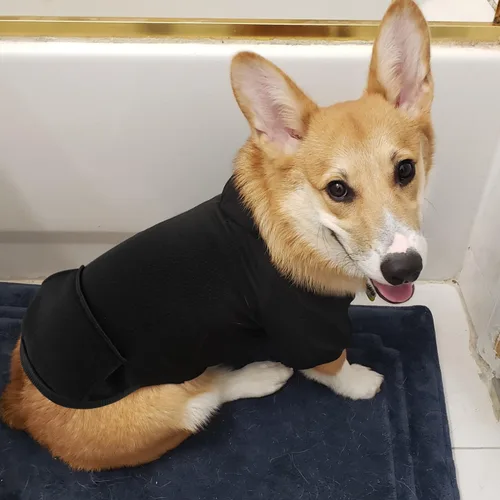 Vista 3 de Idepet Sudaderas con capucha para perros pequeños, ropa para perros pequeños, chaleco para chihuahua, abrigo cálido, chaqueta de otoño, trajes