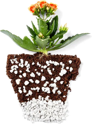 Vista 4 de Perlite Bliss (8 cuartos de galón) + chips de coco para plantas (10 libras) – Chips de coco y perlita orgánica para plantas y jardinería – Chips