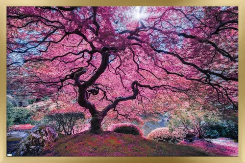 Vista 15 de Trends International Póster de pared Pink Tree 2 de Moises Levy, 22.4 pulgadas de largo x 14.7 pulgadas, versión enmarcada en madera de granero
