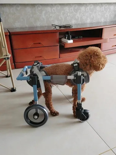 Vista 2 de Silla de ruedas resistente de 4 ruedas para perro, carrito de perro con soporte de cuerpo completo, aluminio de grado aeronáutico, se ajusta