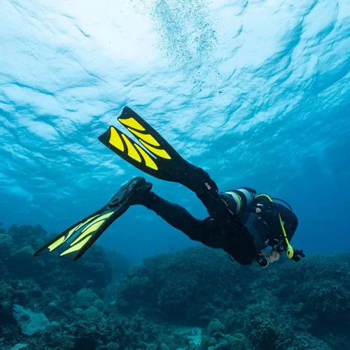 Vista 5 de TUSA SF-0111 Hyflex Zoom Aletas de Buceo ROSA ROSA