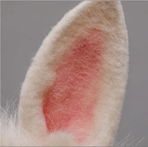 Vista 6 de Faylay Diadema artificial de conejo de peluche con diadema de conejo