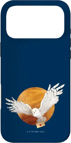 Vista 22 de Harry Potter Hedwig and The Moon Case for iPhone 17