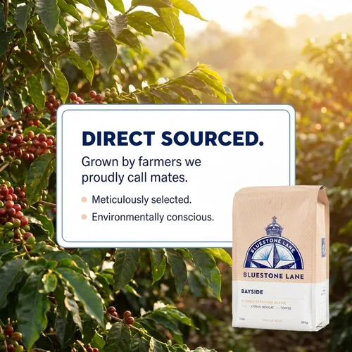 Vista 4 de Bluestone Lane Granos de café, Bayside Blonde Light Roast, grano entero, bolsa de 12 onzas