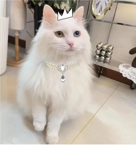 Vista 2 de Collar de perlas de 2 filas para gatos, collar de perlas para perros, collares de diamantes de imitación para perros pequeños, accesorios de collar