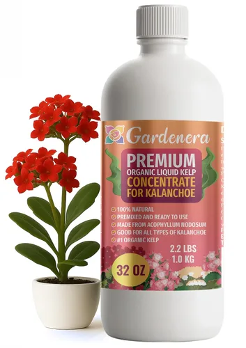 Vista 37 de GARDENERA Superalimento orgánico prémium de algas marinas y algas marinas para plantas AROID - 32 oz - Concentrado de fertilizante líquido de algas
