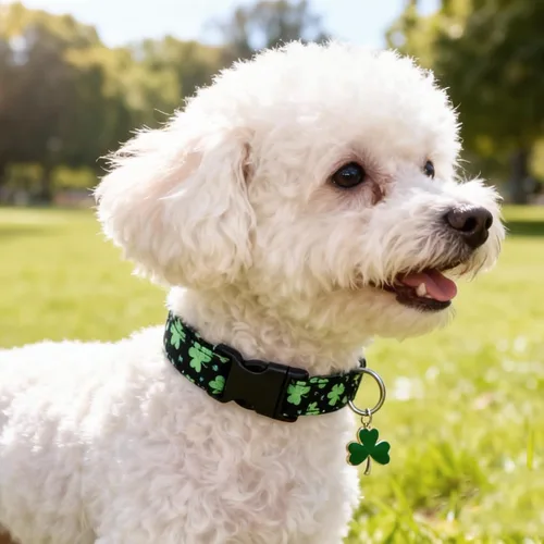 Vista 4 de Collar de perro con patrones de flores con accesorios, collares de algodón suave para perros pequeños, medianos y grandes, hembras y machos