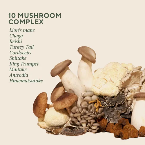 Vista 3 de Om Master Blend Cápsulas de hongos – Suplemento orgánico de hongos con 10 hongos y ashwagandha – Apoya la inmunidad, la salud intestinal y el alivio