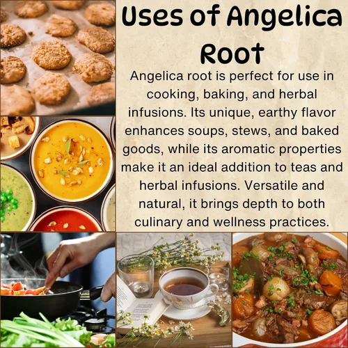 Vista 2 de Herbs Botanica Angelica Root - Hierba angélica de corte suelto y tamizado Ángel de hierbas Angelica Archangelica para té de hierbas, para hornear