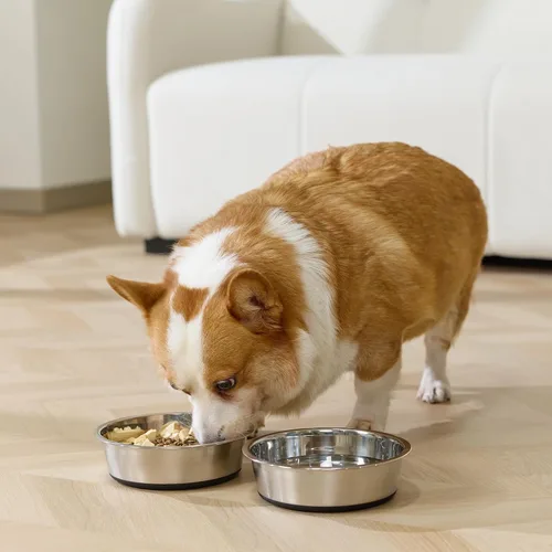 Vista 7 de Cuencos para perros, acero inoxidable de grado alimenticio para alimentos y agua, paquete de 2, 3 tazas Negro