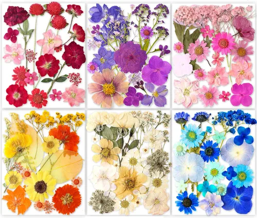 Vista 9 de 96 piezas de flores blancas secas y prensadas vintage para manualidades con resina - Juego de flores naturales reales de YouthBro con 50 calcomanías
